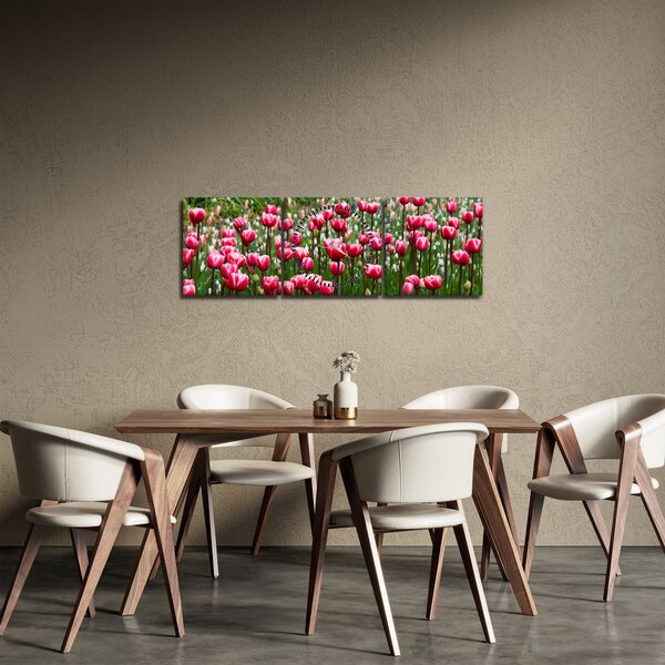 Obraz tulipánov (s hodinami) (90x30 cm)