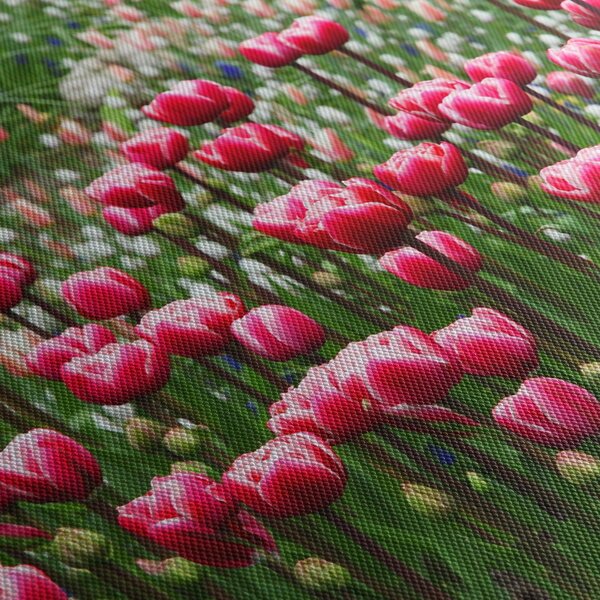 Obraz tulipánov (120x50 cm)