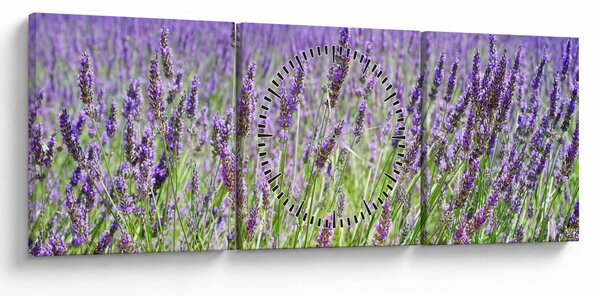 Obraz poľa s levanduľou (s hodinami) (90x30 cm)
