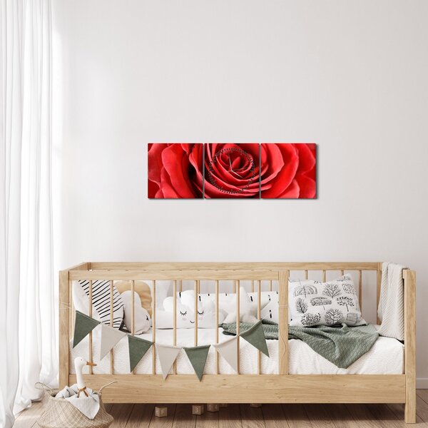 Obraz kvetu ruže (s hodinami) (90x30 cm)