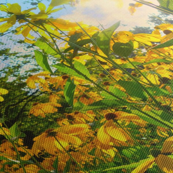 Obraz žltých kvetov (120x50 cm)