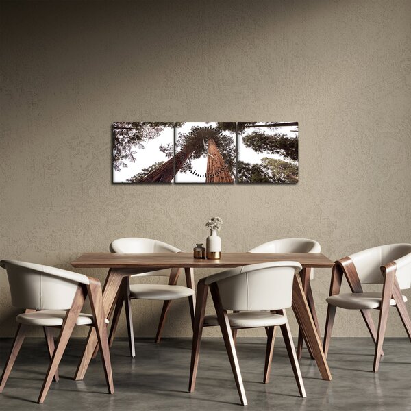 Obraz - Pohľad skrz koruny stromov (s hodinami) (90x30 cm)