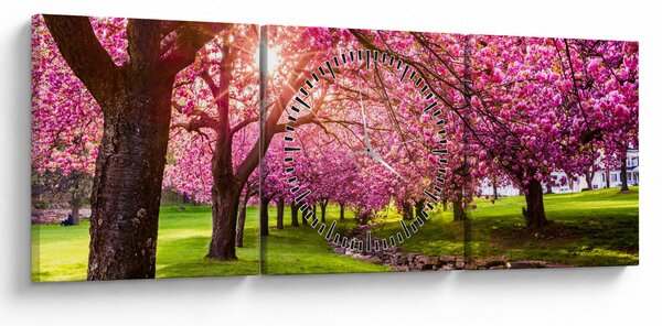 Obraz rozkvitnutých čerešní, Hurd Park, Dover, New Jersey (s hodinami) (90x30 cm)