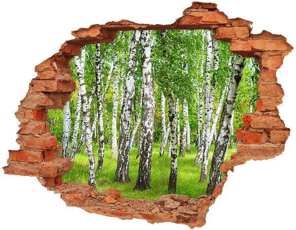 Fototapeta diera na stenu 3D Brezového lesa nd-c-85613602