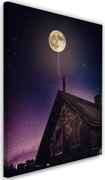 Obraz na plátne Dobrú noc, mesiac - Rokibul Hasan Rozmery: 40 x 60 cm