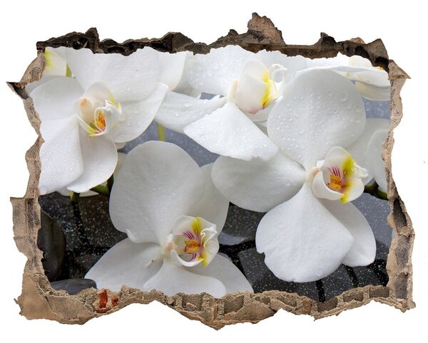 Samolepící nálepka fototapeta Orchidea nd-k-143985624