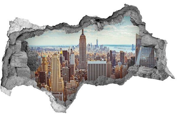Fototapeta diera na stenu 3D New york letu vták