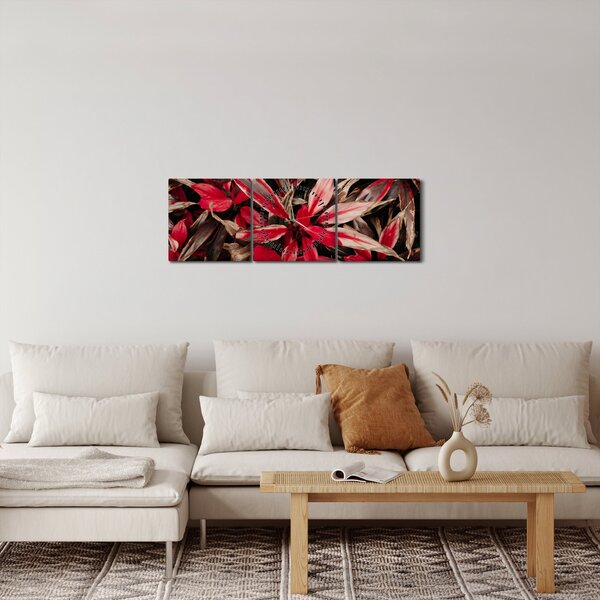 Obraz červených okvetných lístkov (s hodinami) (90x30 cm)