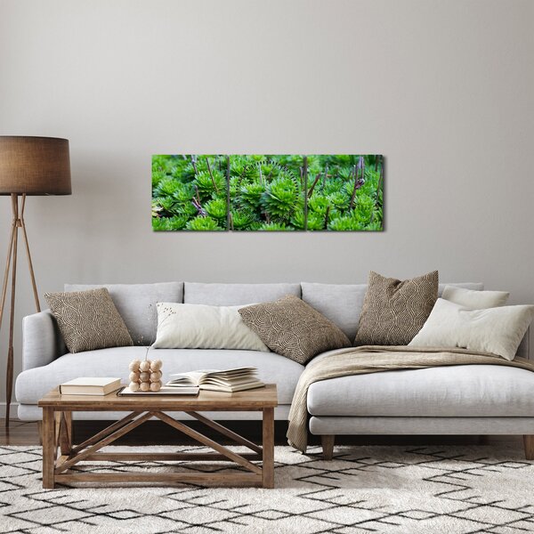 Obraz sukulentov (s hodinami) (90x30 cm)