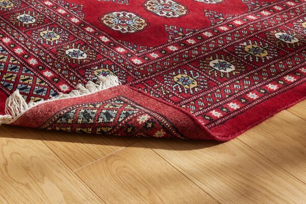 Koberec Bokhara 124 Red