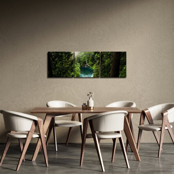 Obraz - Priezor medzi stromami (s hodinami) (90x30 cm)
