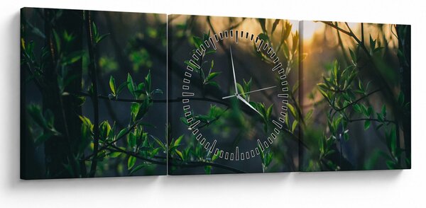 Obraz presvitajúceho slnka cez vetvičky stromov (s hodinami) (90x30 cm)