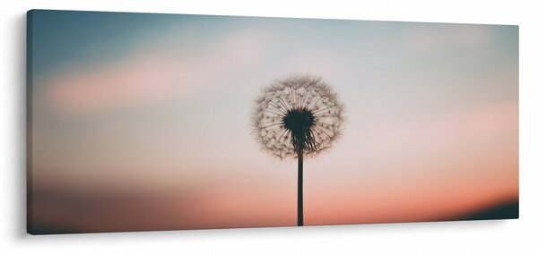 Obraz - Držím ťa, púpava (120x50 cm)