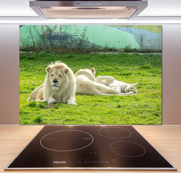 Dekoračný panel sklo Béžové levy
