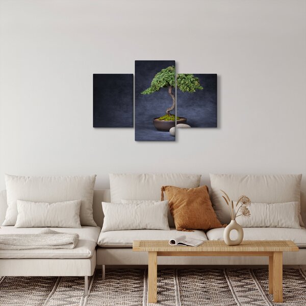 Obraz - Bonsai (90x60 cm)
