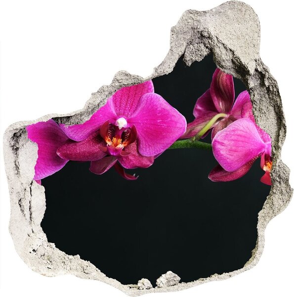 Samolepiaca diera na stenu Orchidea nd-p-64284743