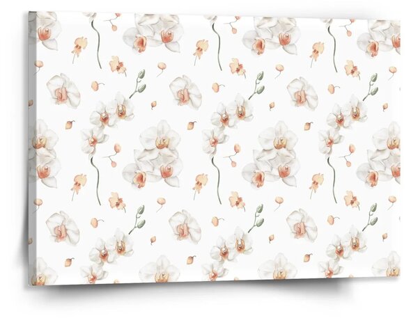 Sablio Obraz Biela orchidea - 150x110 cm