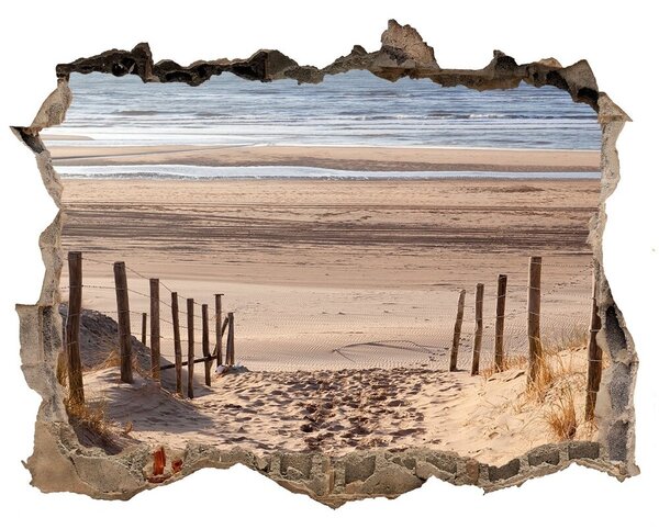 Nálepka fototapeta 3D výhled Pobrežné duny nd-k-75901490