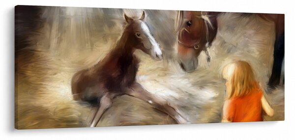 Obraz - Vitaj na svete, žriebätko (120x50 cm)