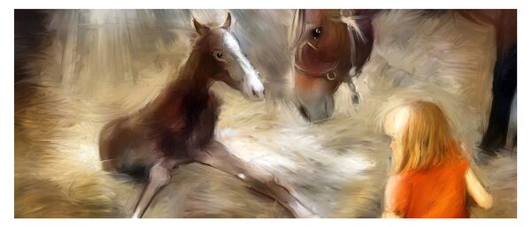 Obraz - Vitaj na svete, žriebätko (120x50 cm)