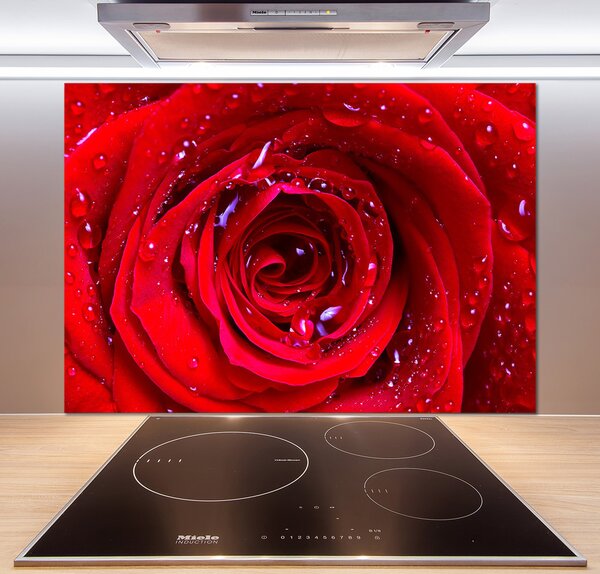 Dekoračný panel sklo Kvet ruže pl-pksh-100x70-f-100979783