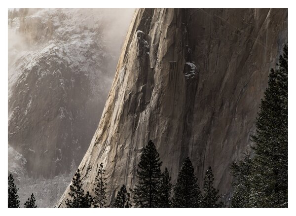 Obraz z údolia Yosemite národnej parku, USA (70x50 cm)