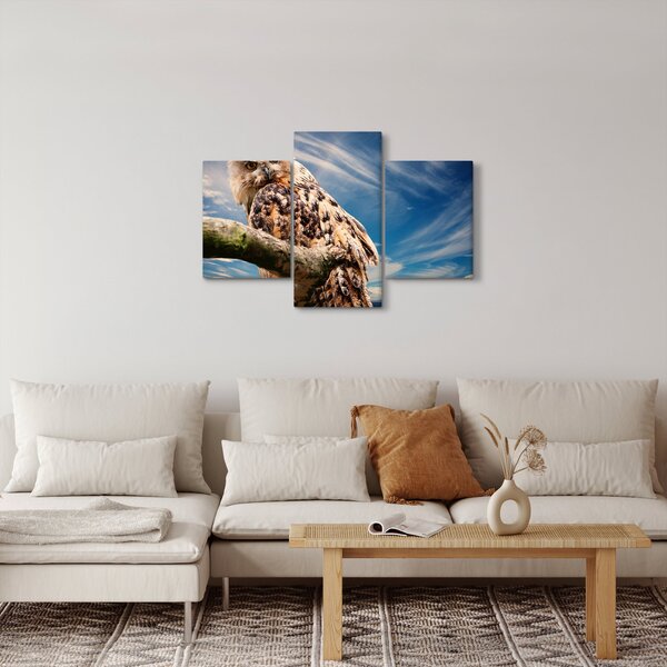 Obraz - Sova (90x60 cm)