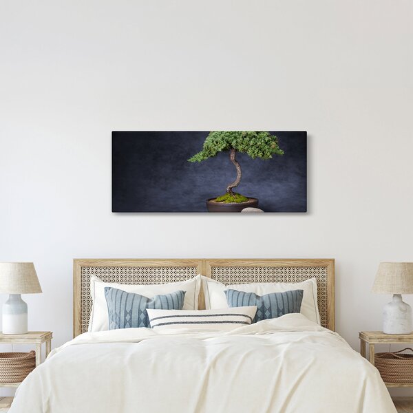 Obraz - Bonsai (120x50 cm)