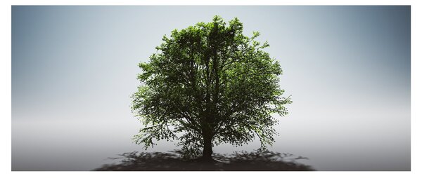 Obraz - Osamotený strom (120x50 cm)