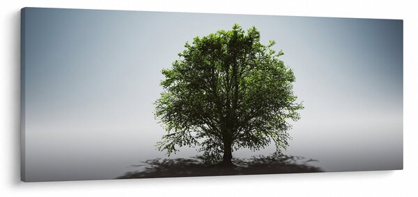 Obraz - Osamotený strom (120x50 cm)