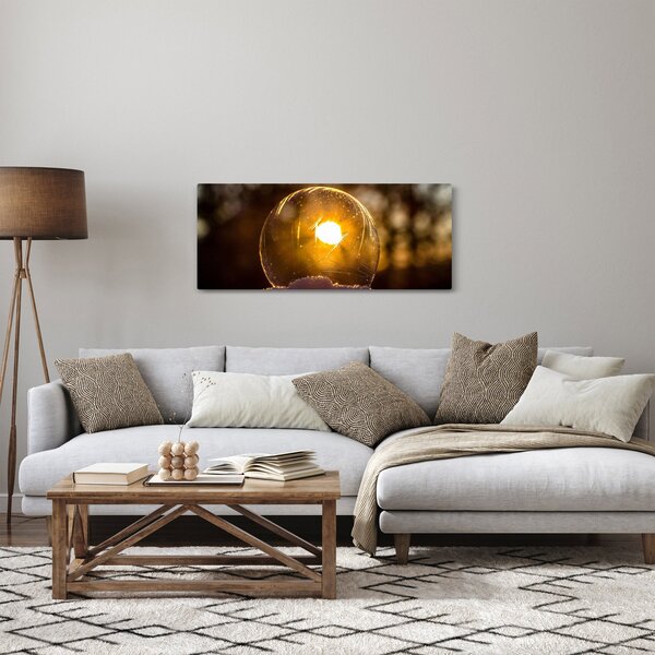 Obraz - Priehľadná bublina (120x50 cm)