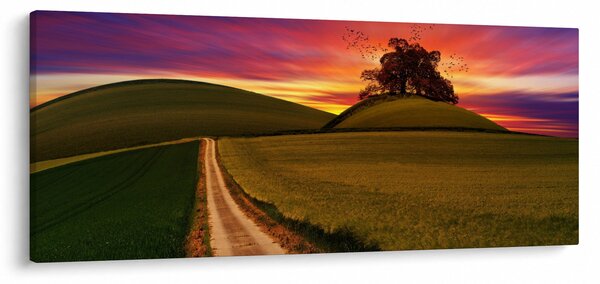 Obraz poľa a farebného neba (120x50 cm)