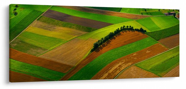 Obraz - Polia, lúky (120x50 cm)