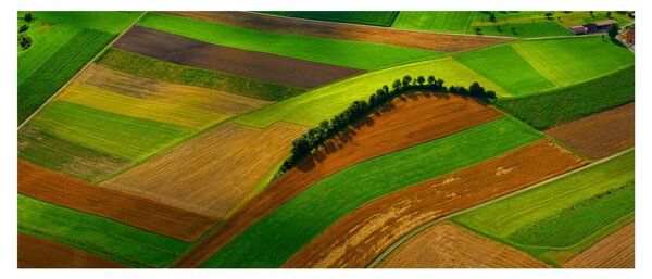 Obraz - Polia, lúky (120x50 cm)