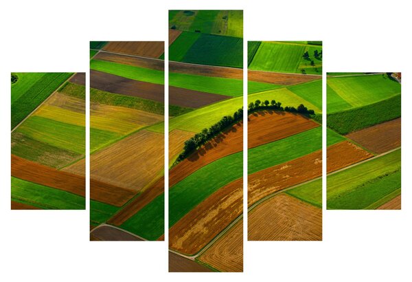 Obraz - Polia, lúky (150x105 cm)