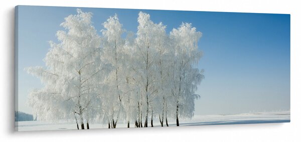 Obraz zasneženej krajiny (120x50 cm)