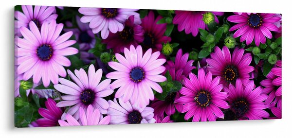 Obraz - Kvety (120x50 cm)
