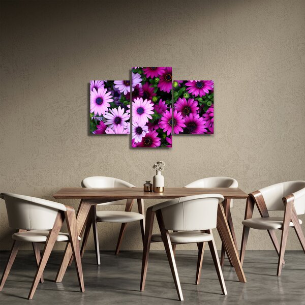 Obraz - Kvety (90x60 cm)