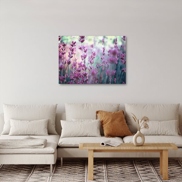 Obraz - Levanduľa (70x50 cm)