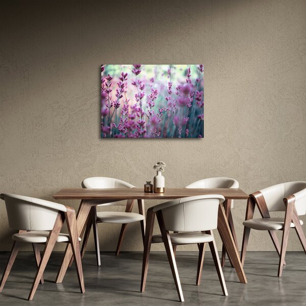 Obraz - Levanduľa (70x50 cm)