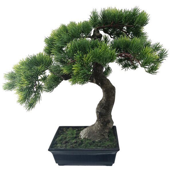 BONSAJ 43 cm Ambia Home - Kvety & kvetináče