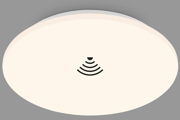 STROPNÉ LED SVIETIDLO, 35/6 cm - Interiérové svietidlá