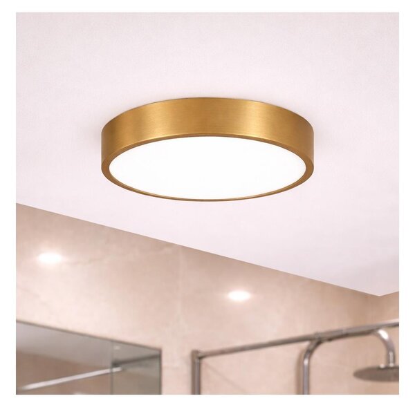 Brilagi - LED kúpeľňové stropné svietidlo POOL LED/24W/230V pr. 30 cm IP54 bronz