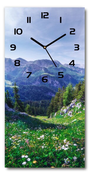 Moderné hodiny nástenné Alpy pl_zsp_30x60_f_122073604