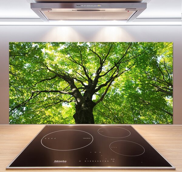 Dekoračný panel sklo Zelený les pl-pksh-120x60-f-86959394