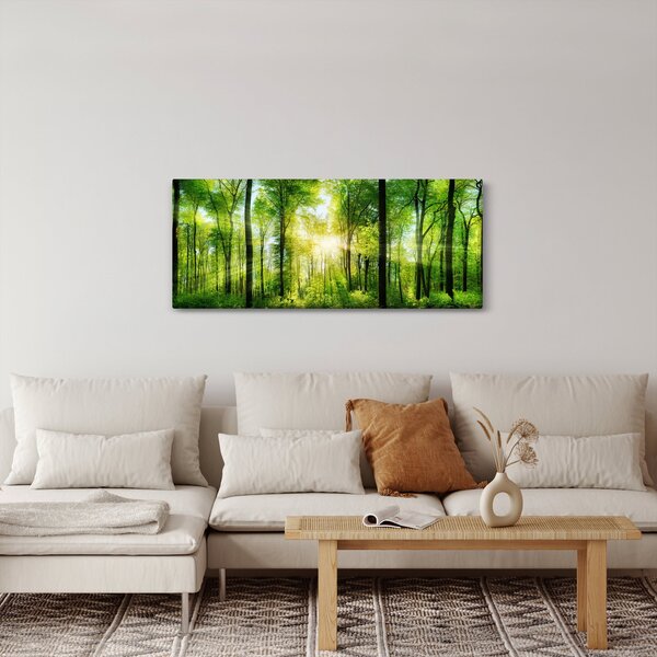 Obraz - Svitanie v lese (120x50 cm)