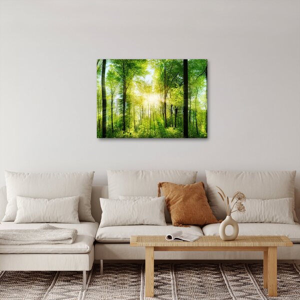 Obraz - Svitanie v lese (70x50 cm)