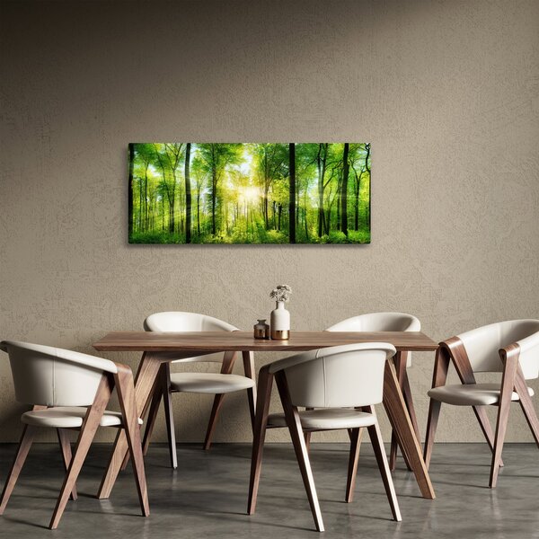 Obraz - Svitanie v lese (120x50 cm)