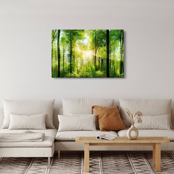 Obraz - Svitanie v lese (90x60 cm)