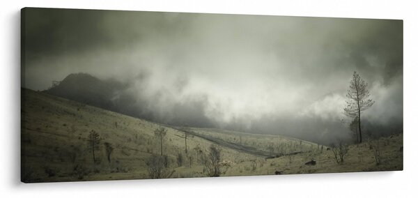 Obraz krajiny pred búrku (120x50 cm)